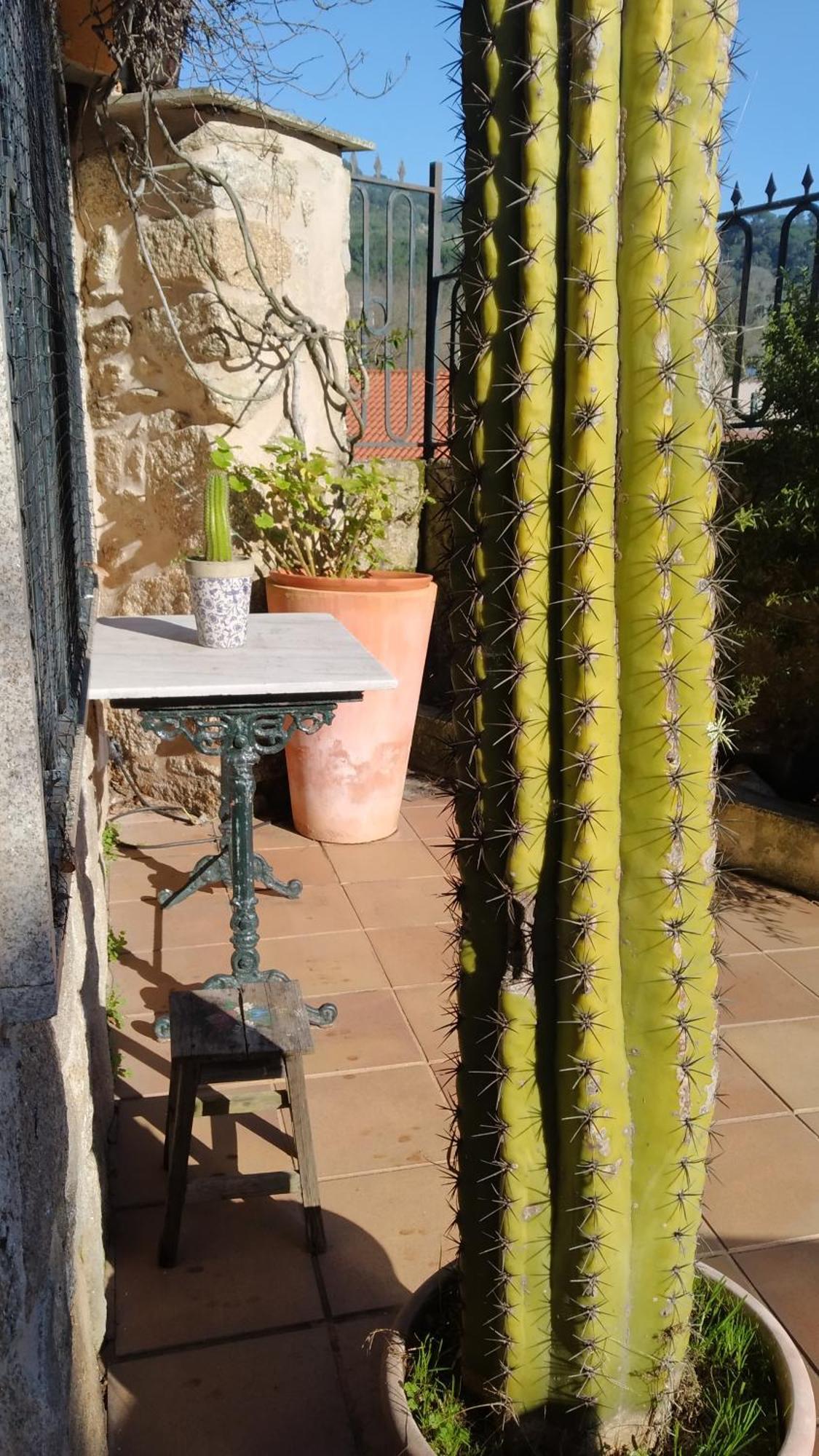 Villa Casa Iriana - Parking Gratis I Jardin I Barbacoa à Ourense Extérieur photo